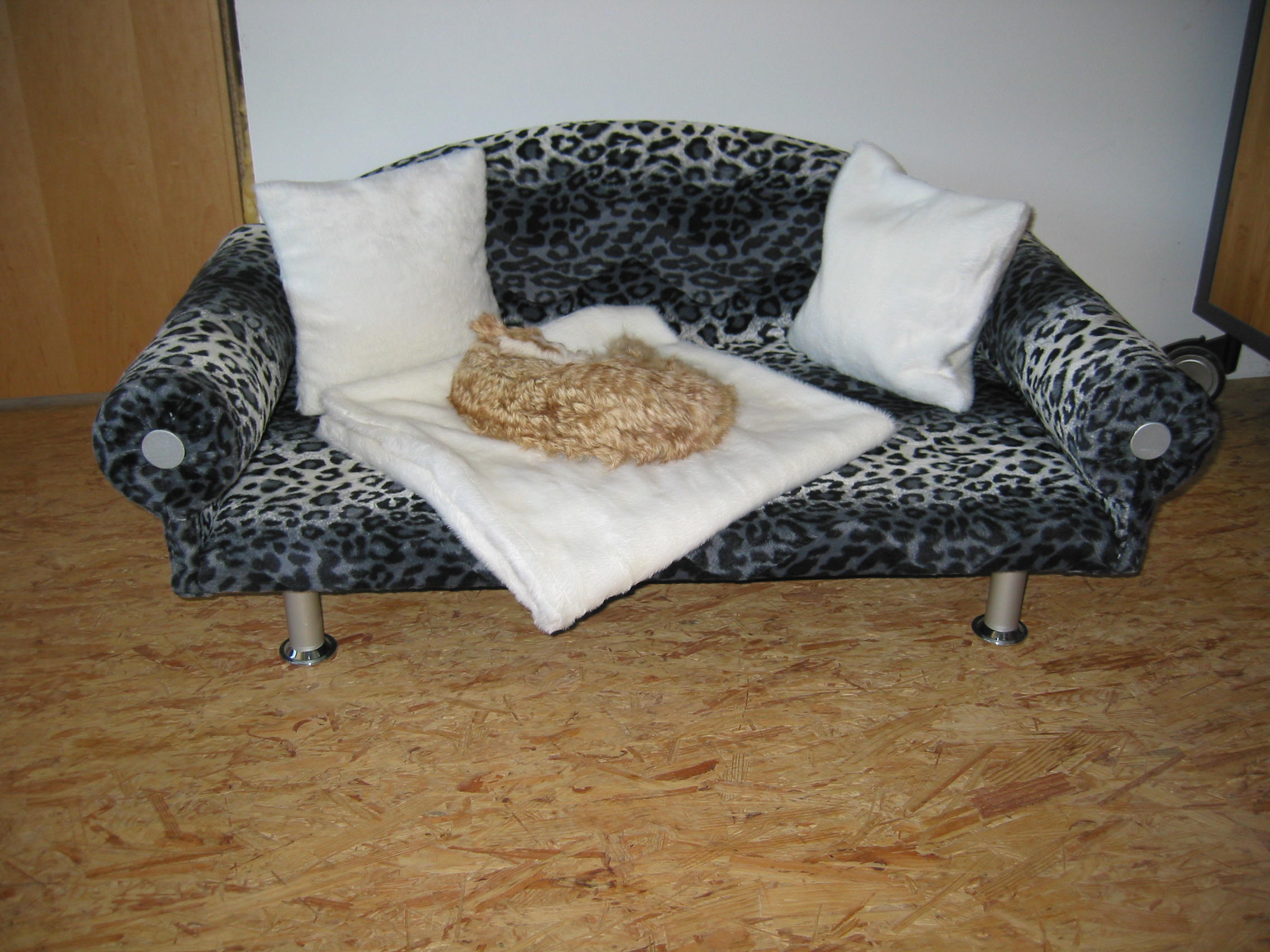 DaisyPuddyDesign